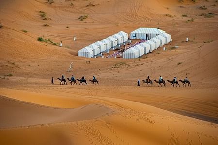 Luxury Merzouga Desert Camp Experience: Camel Rides & Berber Music