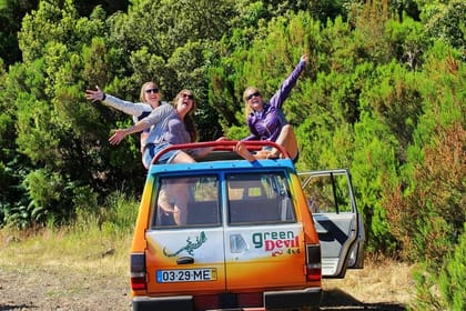 Volcanic Pools and Northwest 4WD Full Day Tour