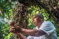 Mayan Inland Expedition from Tulum: Punta Laguna and Coba Ruins 6