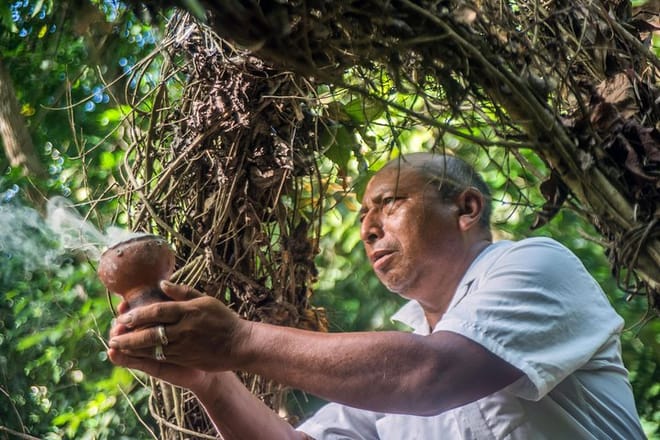 Mayan Inland Expedition from Tulum: Punta Laguna and Coba Ruins 6