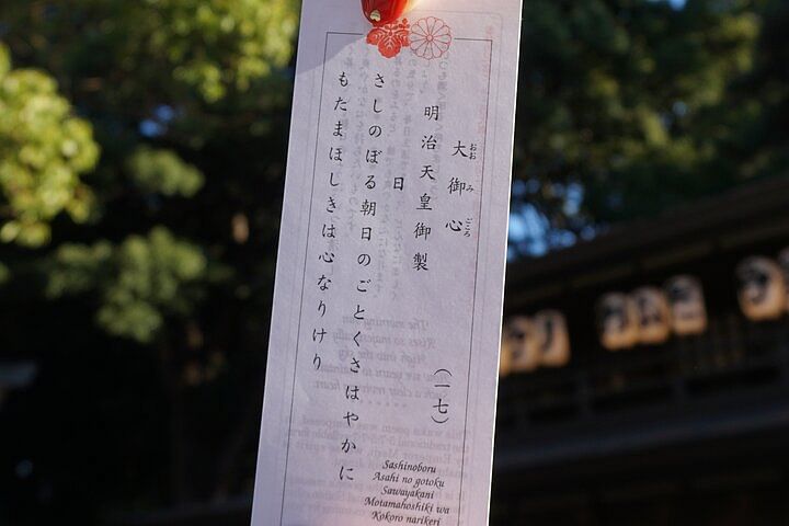 Harajuku Meiji Shrine 1 Hour Explanation Tour
