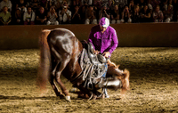 Chez Ali Dinner & Horsemen Show From Marrakech 5