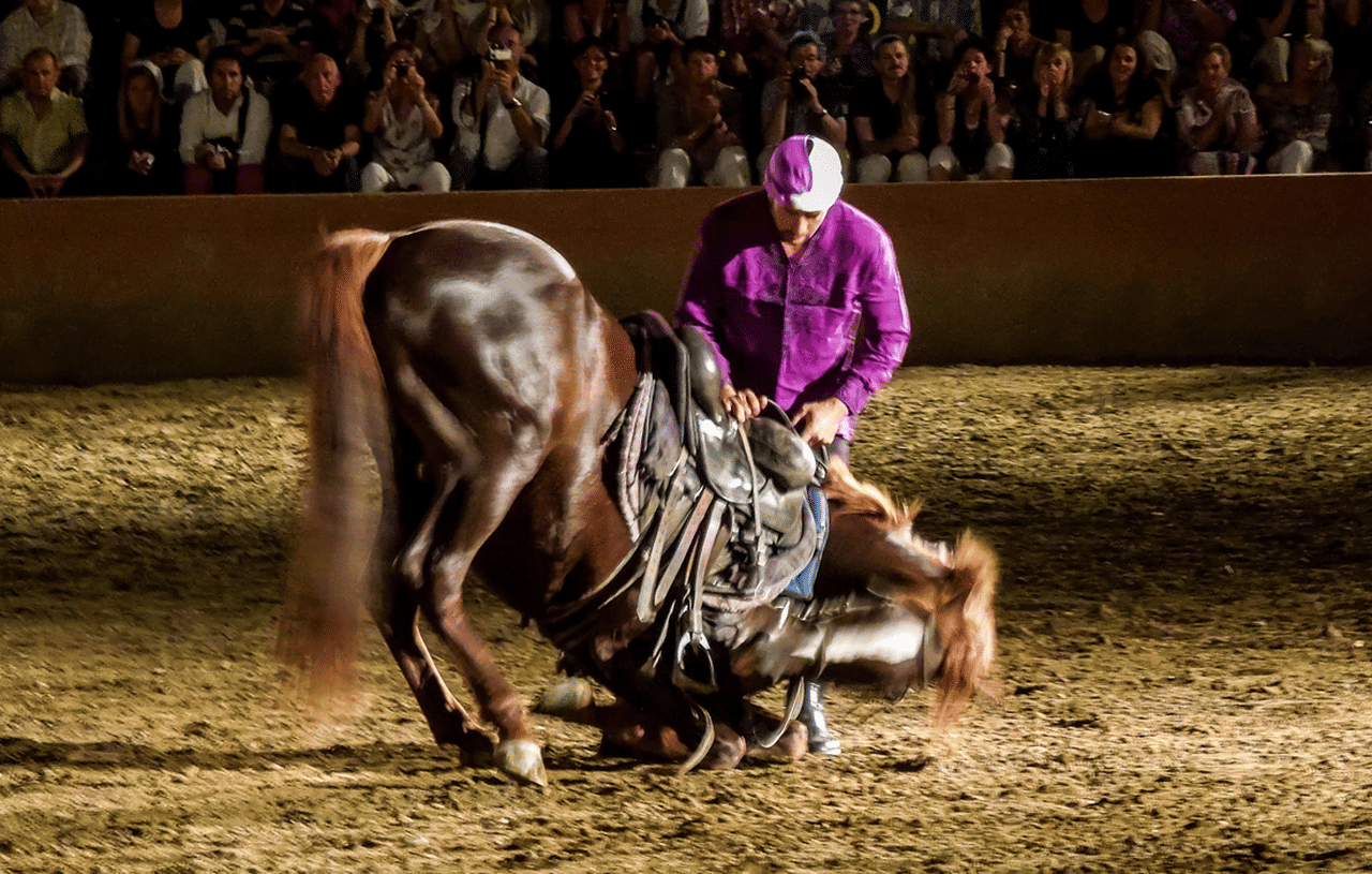 Chez Ali Dinner & Horsemen Show From Marrakech 5
