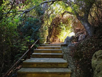 Blue Lagoon and Aphrodite's Birthplace Tour from Limassol