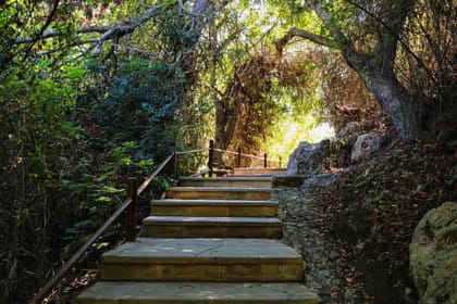 Blue Lagoon and Aphrodite's Birthplace Tour from Limassol