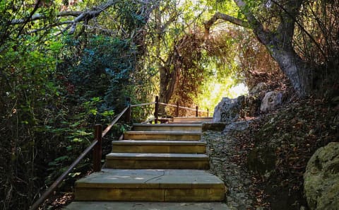 Blue Lagoon and Aphrodite's Birthplace Tour from Limassol