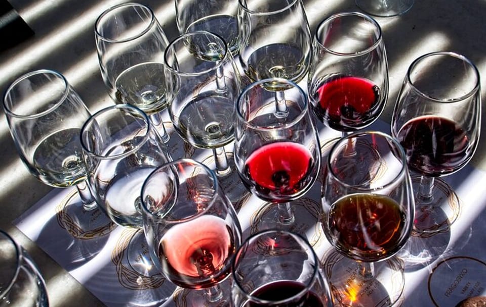 Private Wine Tasting Tour in Etyek with Danube Cruise from Budapest