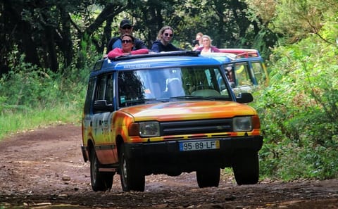 Cabo Girão and Wine Tasting Jeep Tour in Funchal