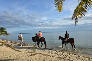 Horseback Riding Tour Along Belize's Placencia Coastline