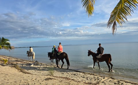 Horseback Riding Tour Along Belize's Placencia Coastline