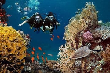Kemer Scuba Diving and Snorkeling Trip
