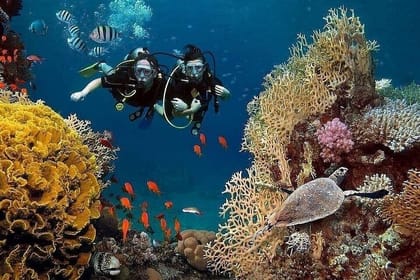Kemer Scuba Diving and Snorkeling Trip