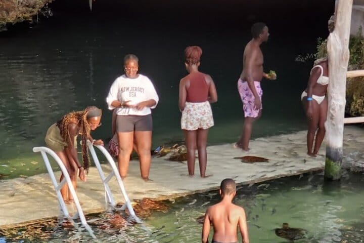 Explore Stone Town and Jozani Forest with Turtles Zanzibar