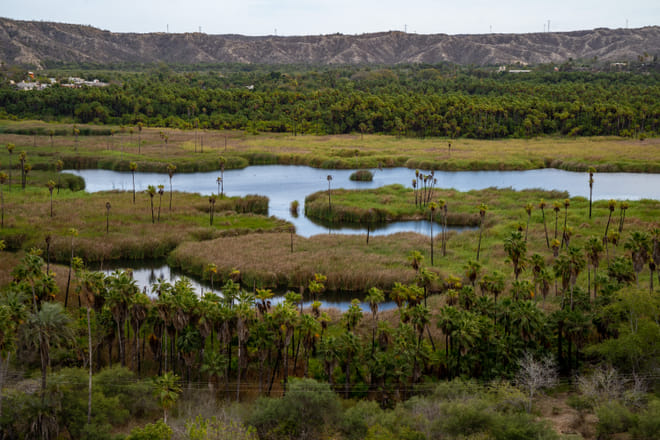 Aerial view of the Santiago oasis with palm trees and freshwater lagoons in Baja California Sur