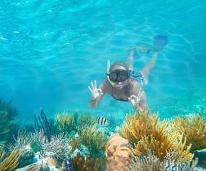 Extreme Snorkel Adventure Riviera Maya