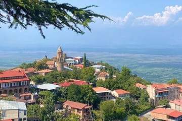 Kakheti Wine and Culinary Tour from Tbilisi to Signagi