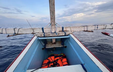 Full Day Fishing and Dolphin Watching Tour in Lovina Beach