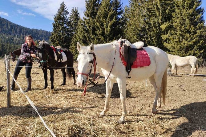 Private Teteven Horse Riding Experience from Sofia with Overnight 6