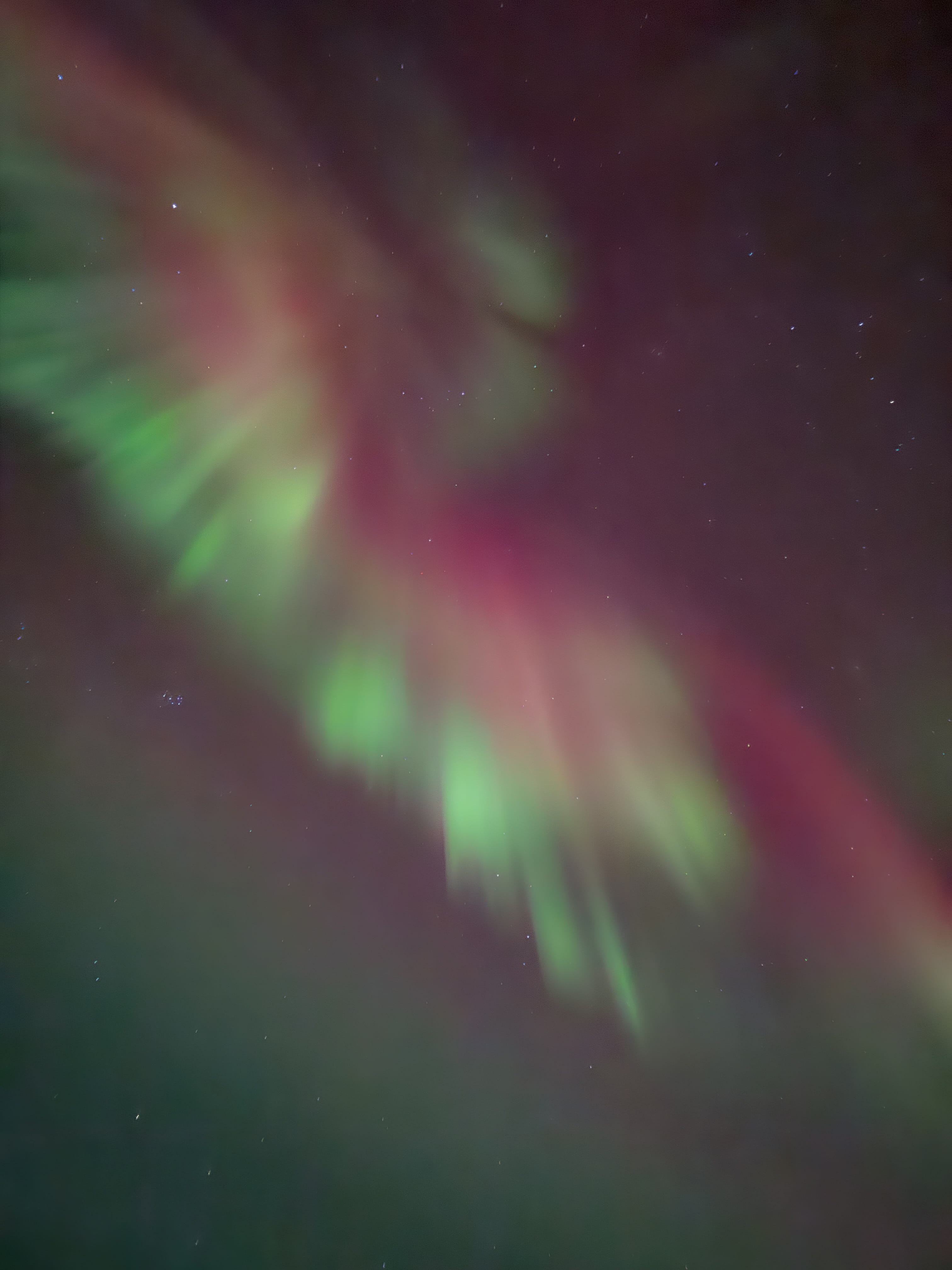 The Aurora Borealis dances above a peaceful snowy forest, setting the stage for an unforgettable Northern Lights adventure at StayLapland.