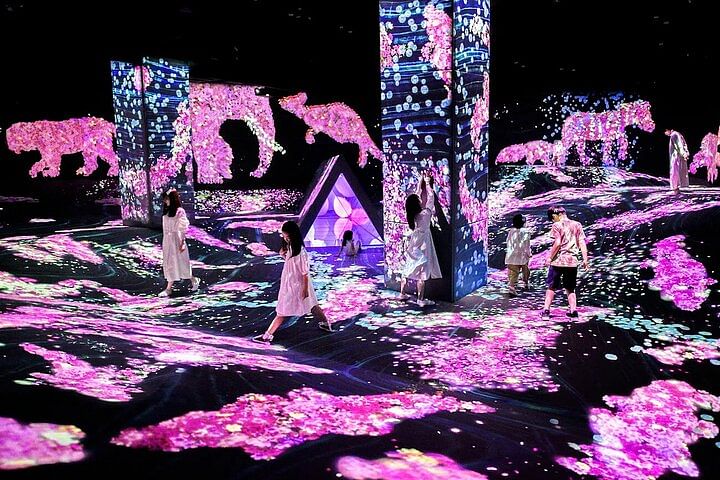 Teamlab Forest Tickets in Fukuoka