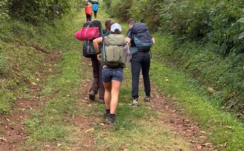 5-Day Mount Kilimanjaro Trek: Express Marangu Route Budget Cabin Tour