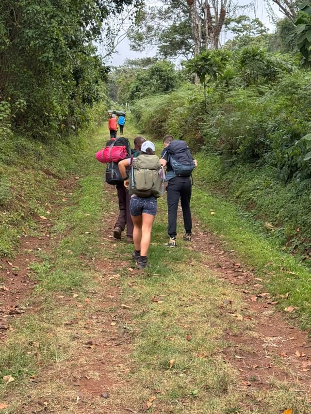 5-Day Mount Kilimanjaro Trek: Express Marangu Route Budget Cabin Tour 3