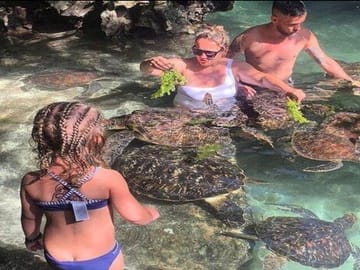 Swim and Snorkel with Turtles at Baraka Aquarium, Nungwi