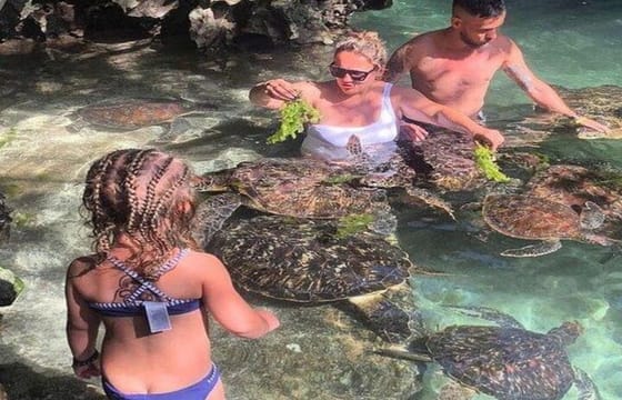 Zanzibar Swim, Snorkel & Feed Turtles at Baraka Aquarium