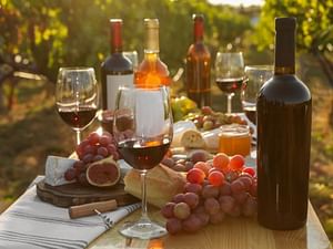 Wine tasting , wine tour , kayak and full lunch
