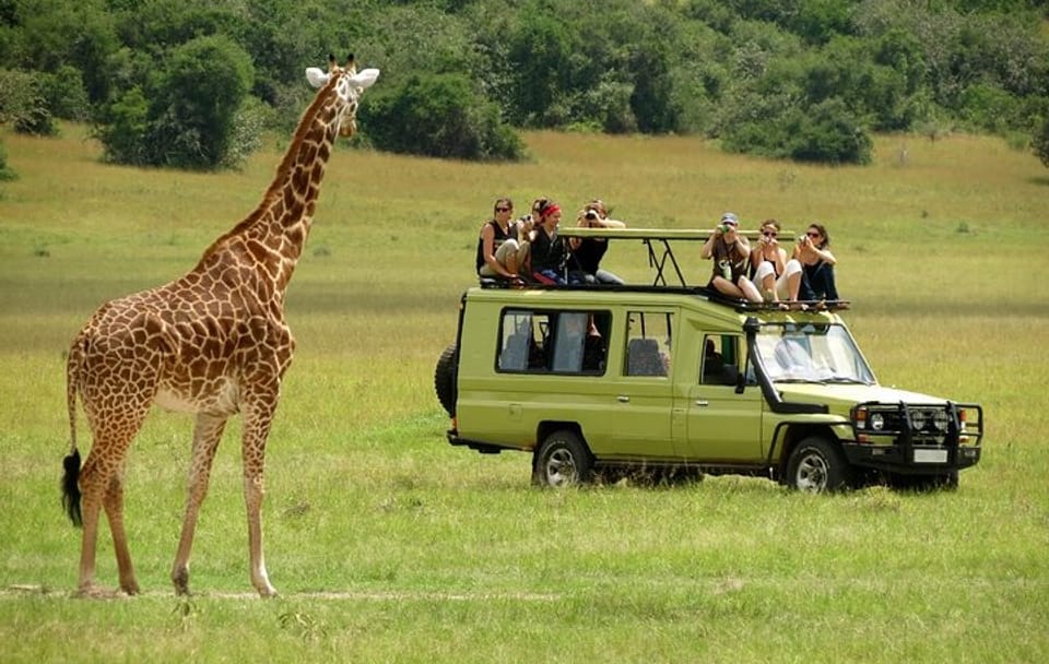 6-Day Giraffe Center Lake Naivasha Hells Gate and Masai Mara