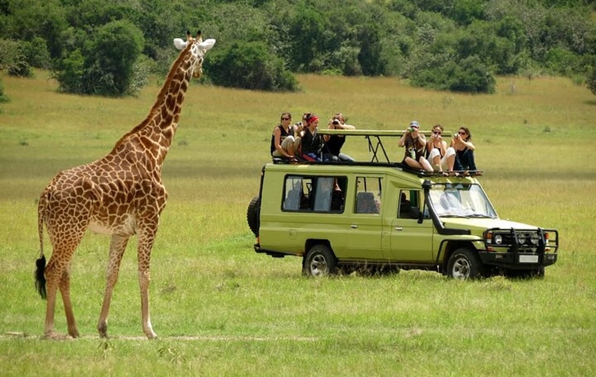 6-Day Giraffe Center Lake Naivasha Hells Gate and Masai Mara