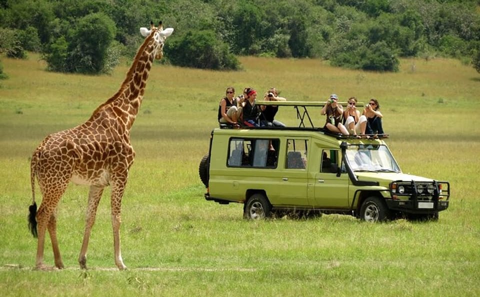 6-Day Adventure Tour of Giraffe Center and Masai Mara, Kenya