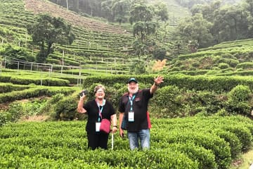 Hangzhou Day Tour of Lingyin Temple and Hupao Spring