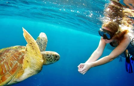 Surin Island Snorkeling by speedboat from Khao Lak