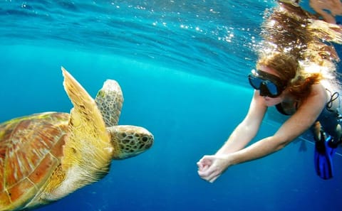 Snorkeling Day Trip to Surin Islands from Khao Lak