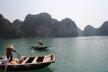 Ha Long Bay Scenic Tour with Local Lunch from Ha Long Port