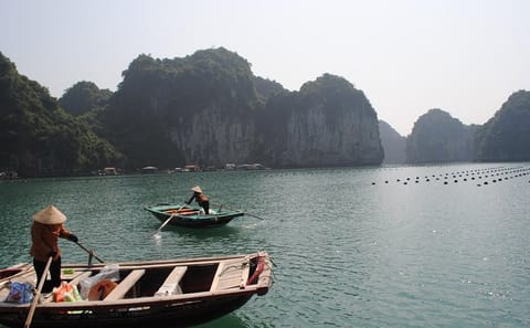 Ha Long Bay Scenic Tour with Local Lunch from Ha Long Port