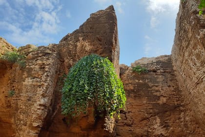 Daytrip to Kerkouen Unesco Site Kelibia and Houaria Caves