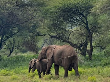 10-Day Exclusive Journey and Adventure in Tanzania