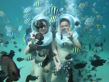 Nha Trang Bay Sea Walk Adventure with Traditional Seafood Lunch