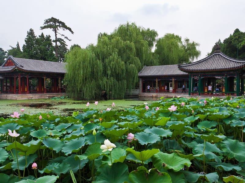 8-Day Beijing & Shanghai Family Highlights Tour