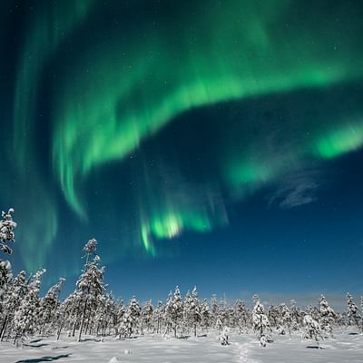 En busca de las Auroras Boreales – Paseo en trineo de renos bajo el cielo ártico