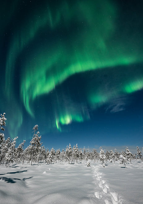 In Search of the Northern Lights – Reindeer Sleigh Ride Under the Arctic Sky