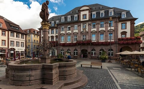 Heidelberg Old Town Walking Tour with River Views and History
