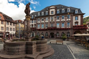 Heidelberg Old Town Walking Tour with River Views and History