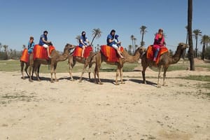 Marrakech Activities: Camel Ride Tour
