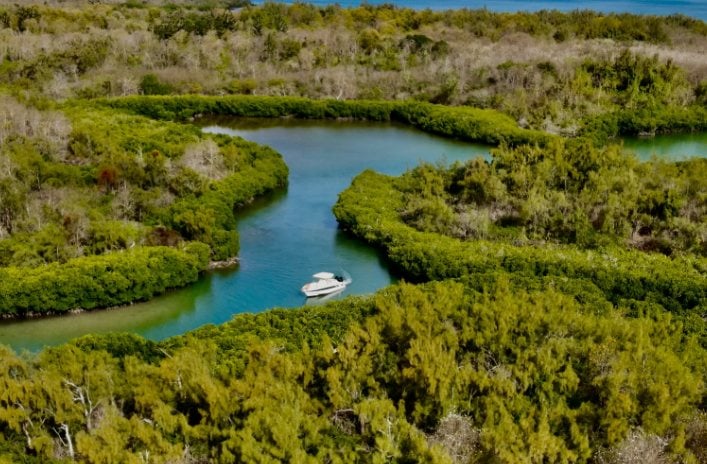 Mangroves & Île aux Bernaches Catamaran – Rainbow Runner