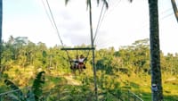 Bali: Best of Jungle Swing with Ubud Sightseeing Tour  3