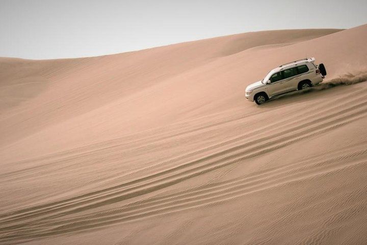 Qatar Dune Bashing Safari, Camel, Surfing , Optional Quad Bike