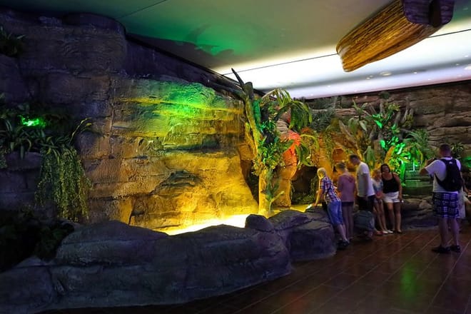 Kemer: Antalya Aquarium Ticket With Optional Transfer 6